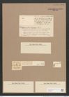 Diatoma rhombicum O'Meara (de-Toni-Nr.: Genus 58, Species 2543) Zeichnungen Sammlung Grunow Nr. 5096 (NHMW-BOT-W0373374)